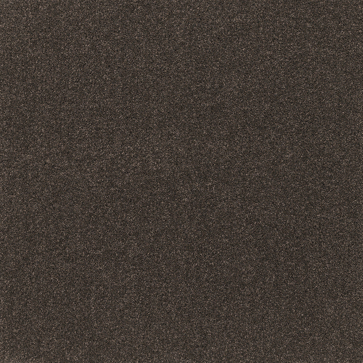 EC Carpets | Coco Bliss