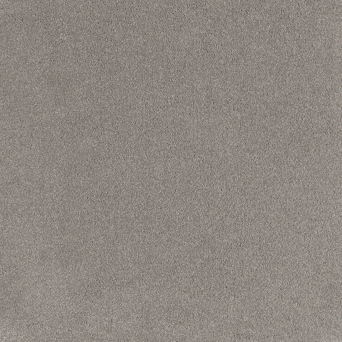 EC Carpets | Coco Bliss