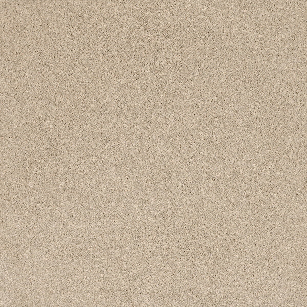 EC Carpets | Coco Bliss