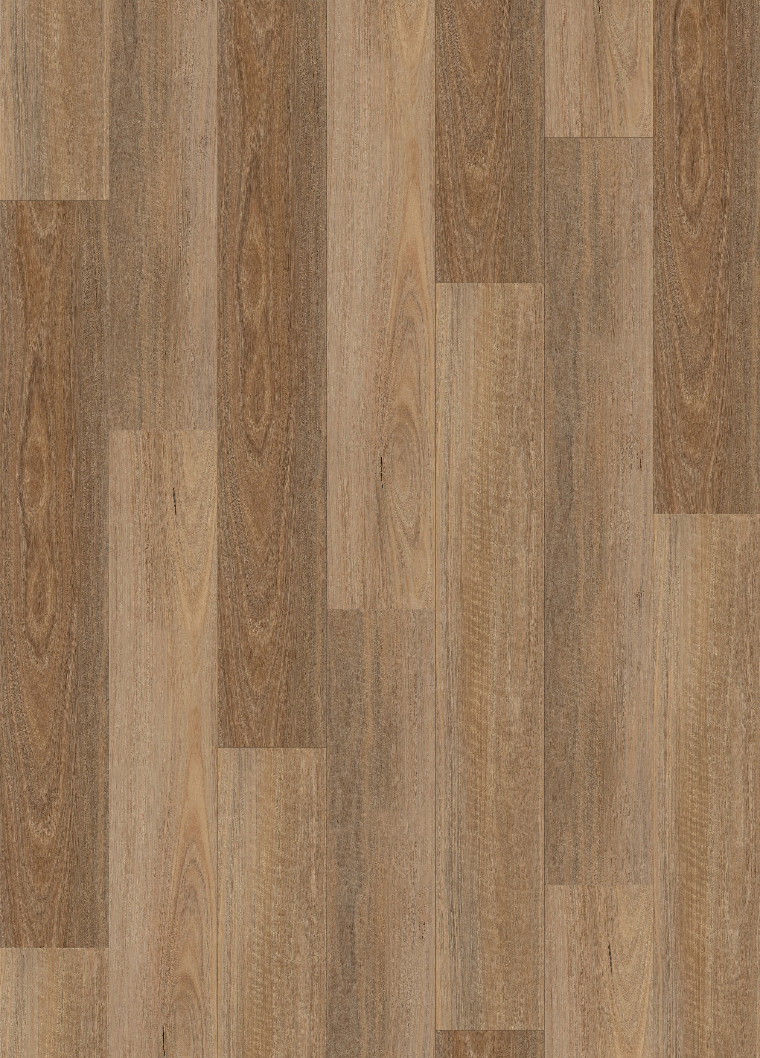 Dunlop | Herartridge 4mm Elmfield