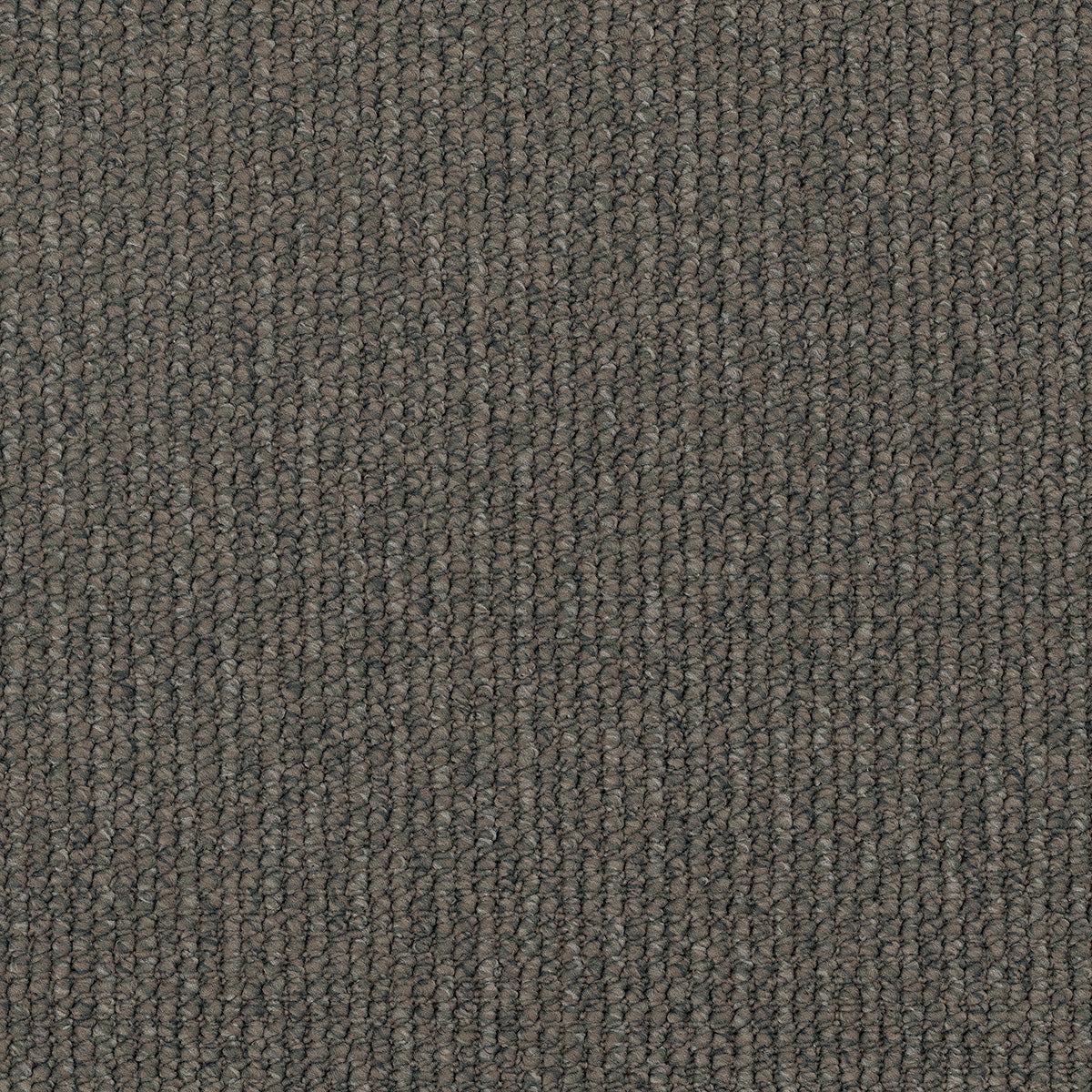 EC Carpets | Orchard