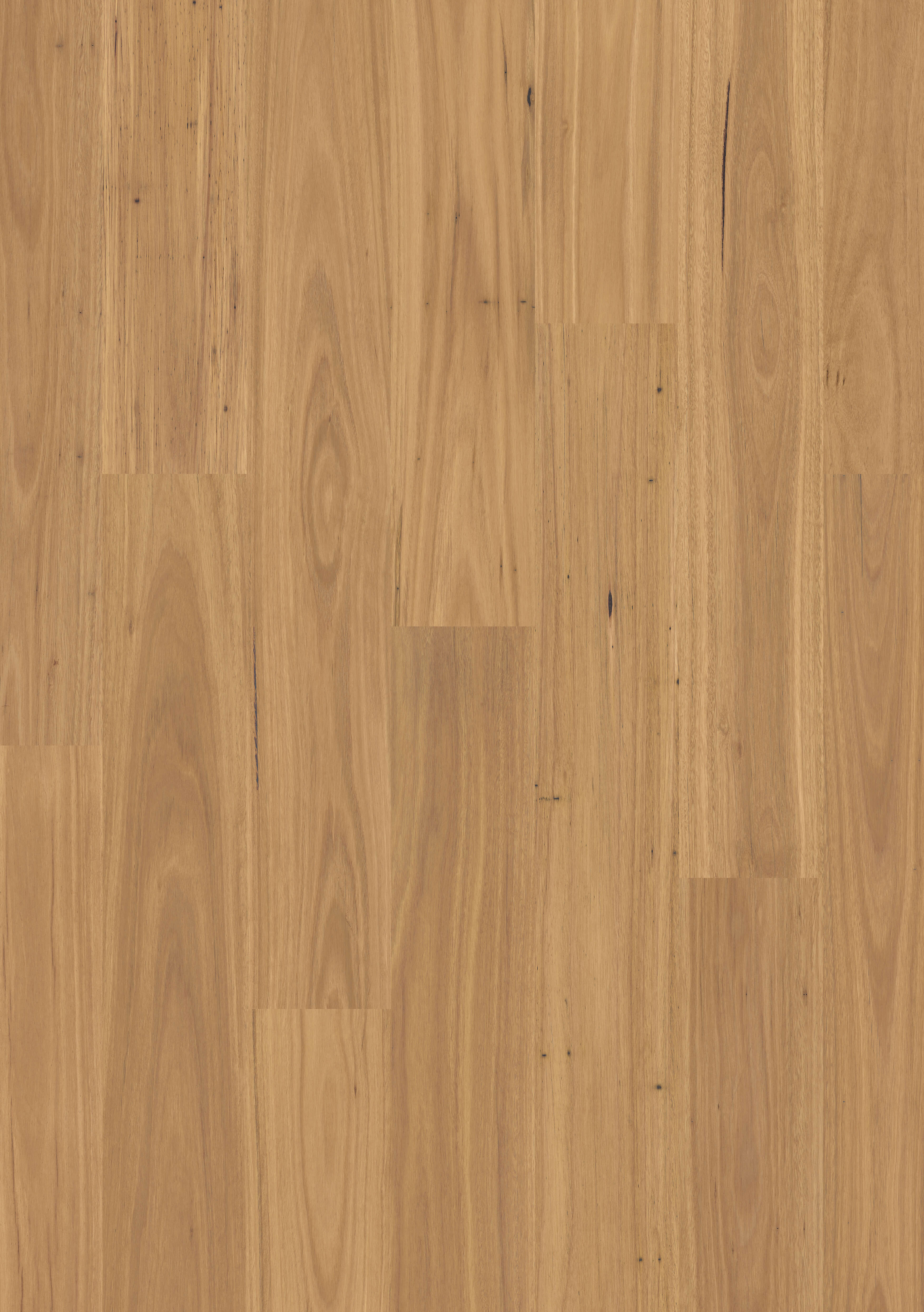 Premium Floors | Eligna 8mm