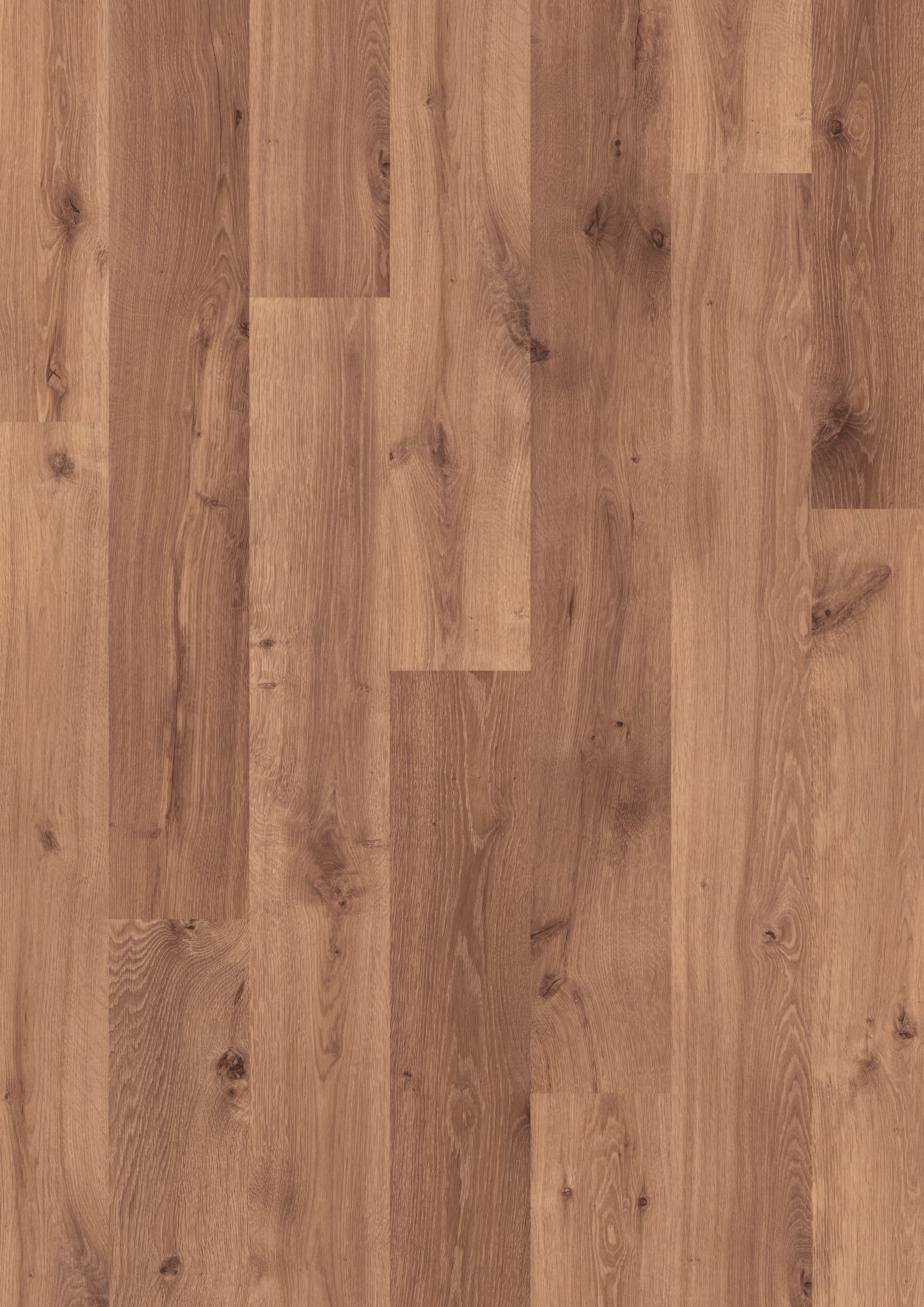 Premium Floors | Eligna 8mm