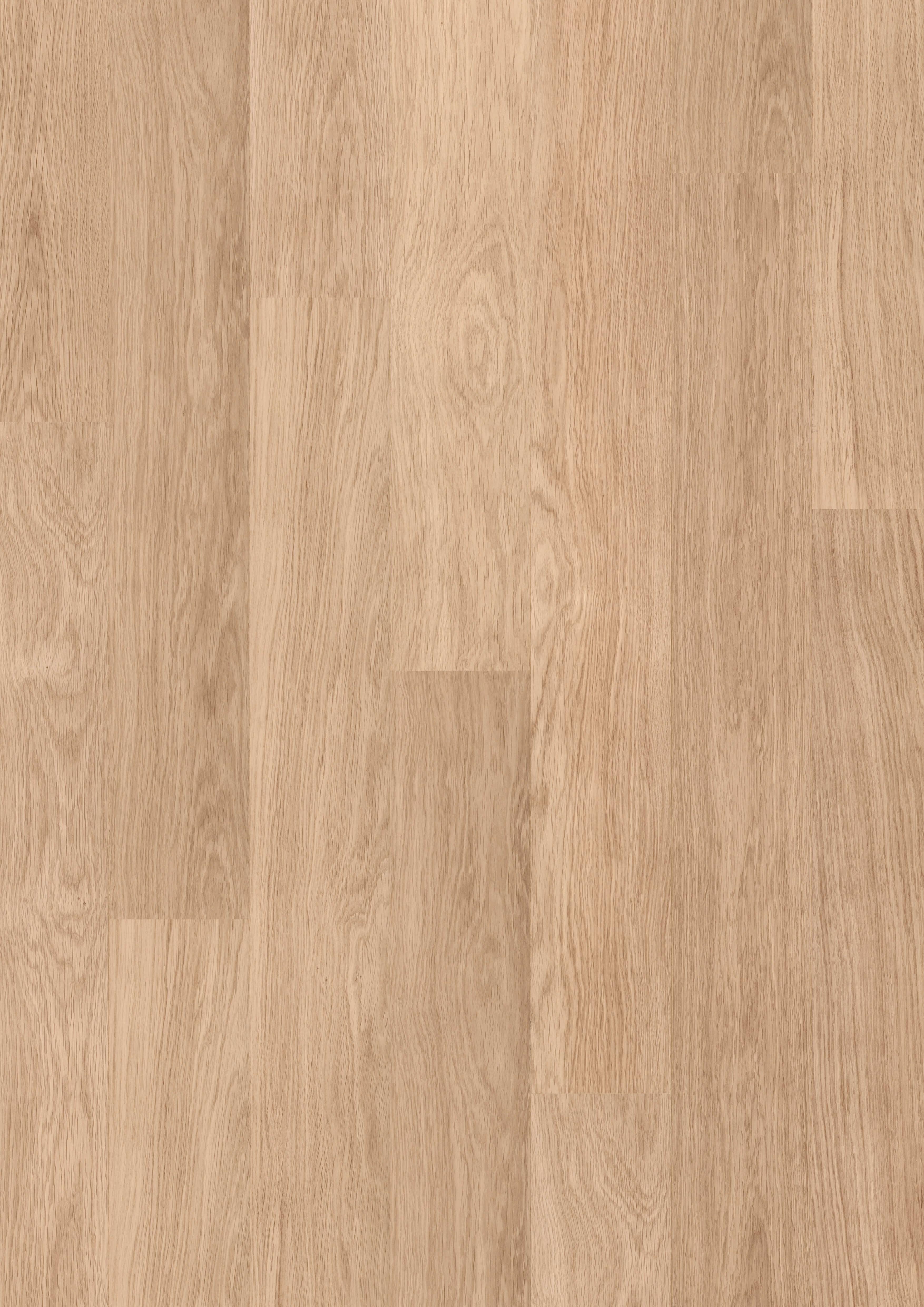 Premium Floors | Eligna 8mm