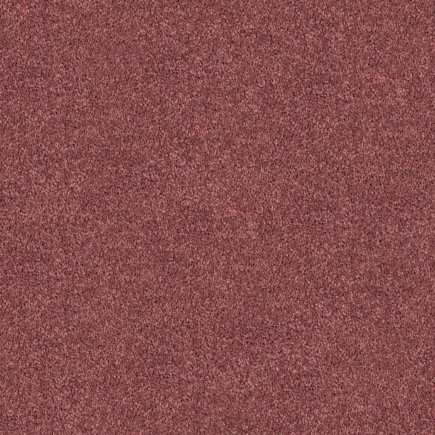 Redbook - Triextra | Spring Shades