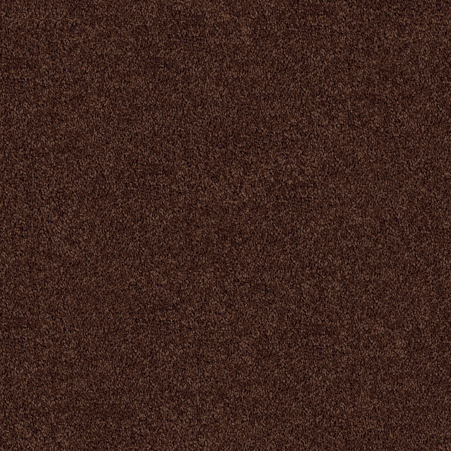 Redbook - Triextra | Spring Shades