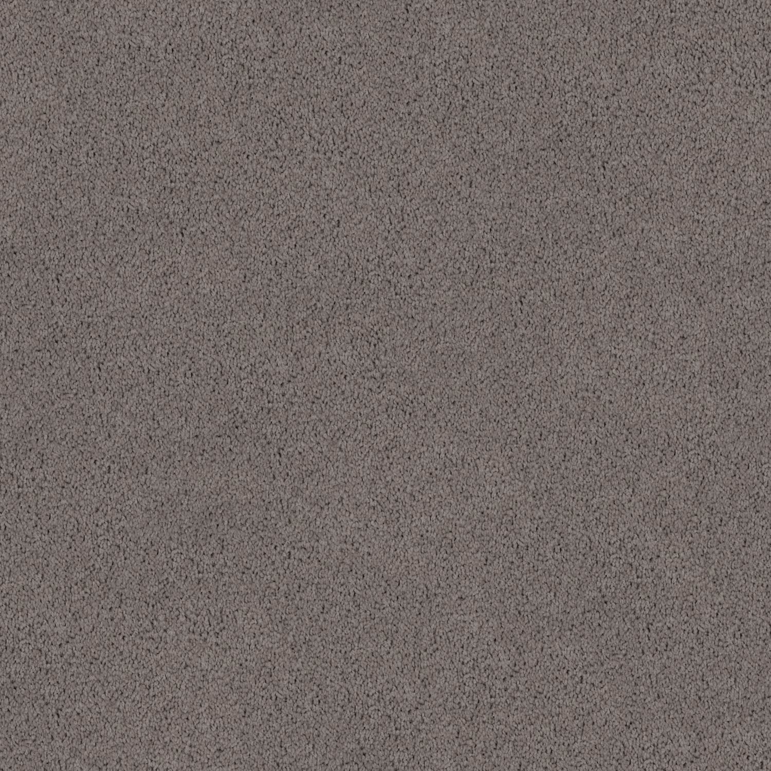 Redbook - Triextra | Spring Shades