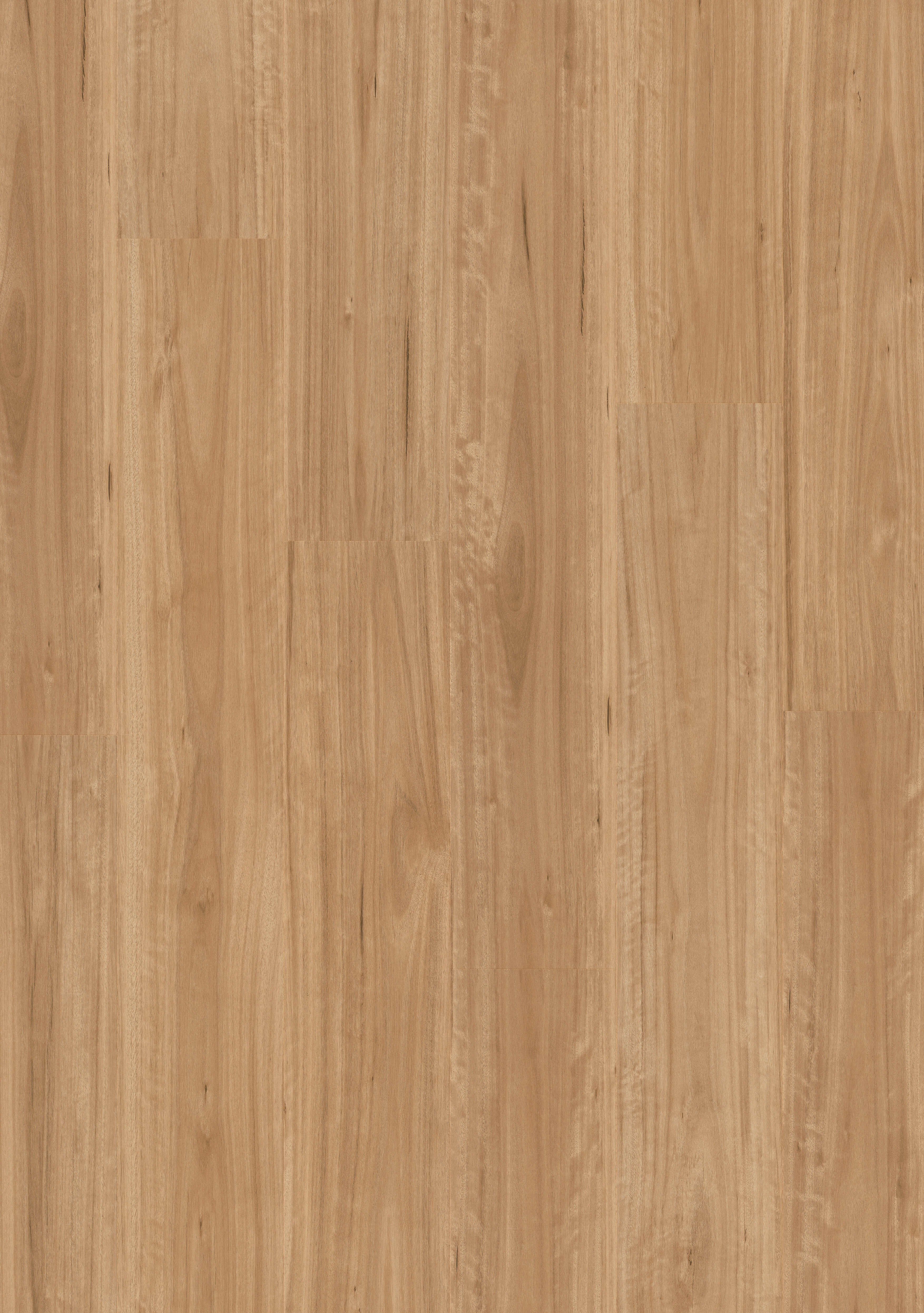 Premium Floors | Titan Hybrid 6mm