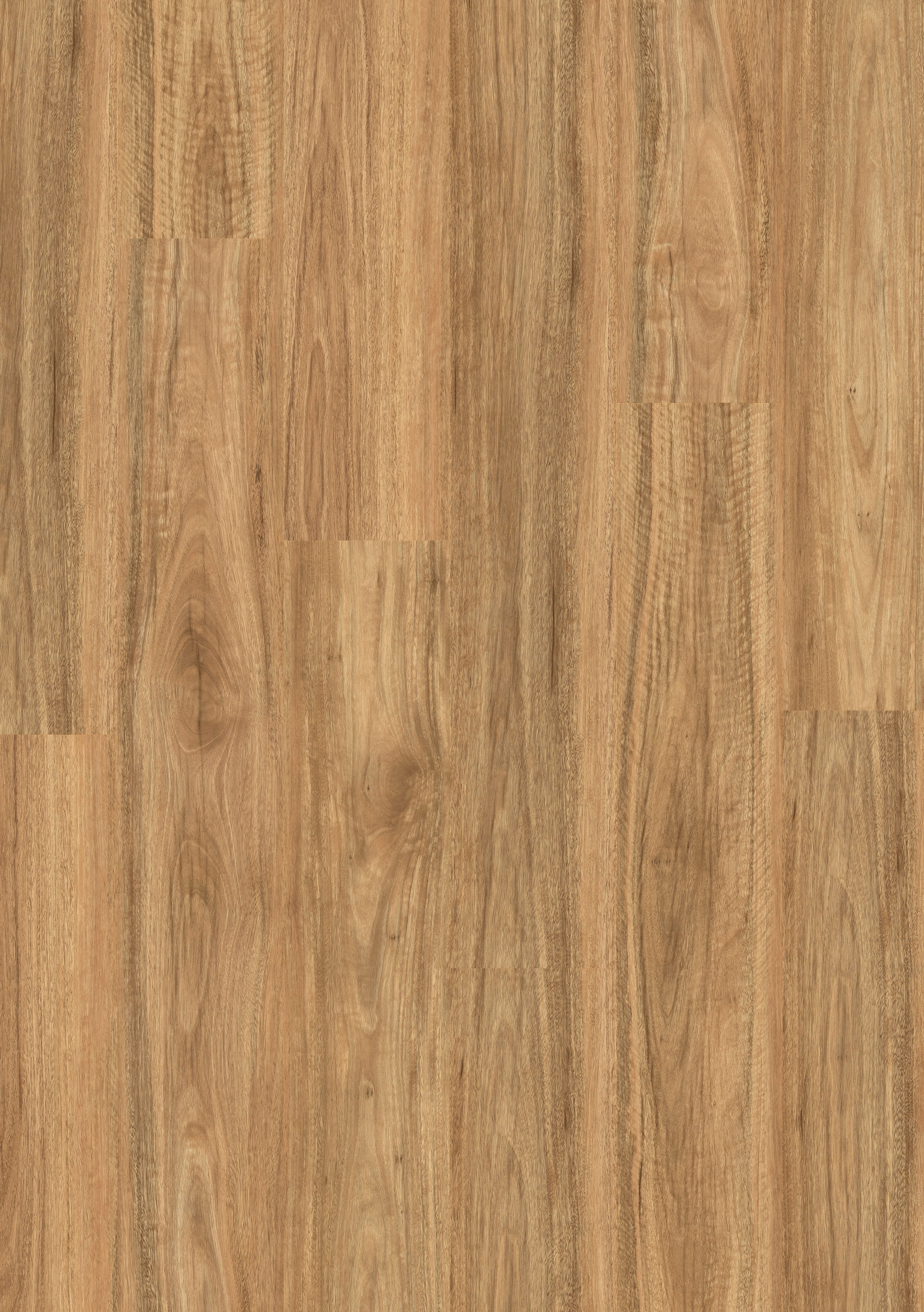 Premium Floors | Titan Hybrid 6mm